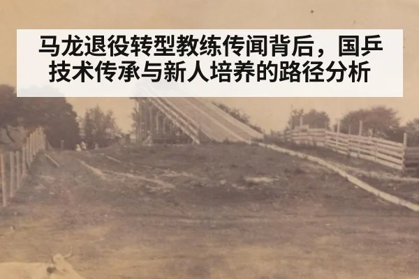 马龙退役转型教练传闻背后，国乒技术传承与新人培养的路径分析